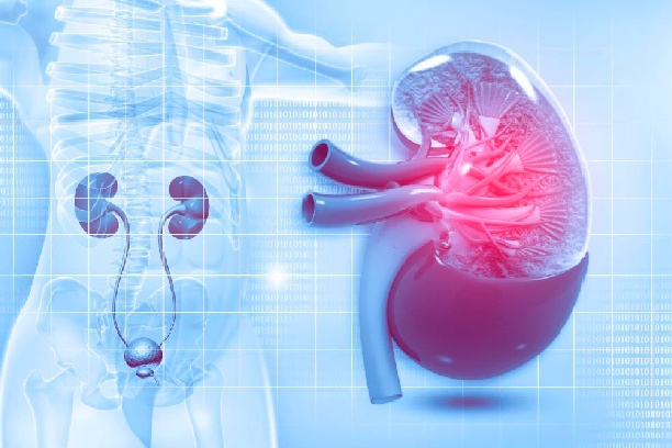 Urology Care